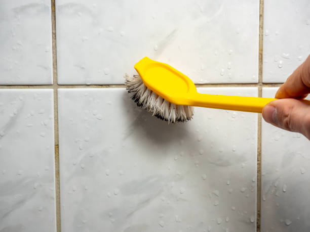 Best Mold Remediation for Specific Building Types in Sulphur, OK