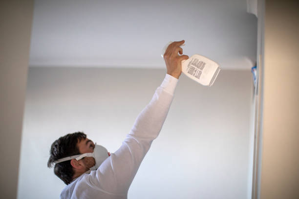 Best Localized Mold Remediation (e.g., coastal areas, humid climates) in Sulphur, OK