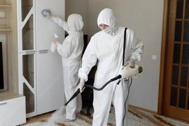 Best Post-Flood Mold Remediation in Sulphur, OK